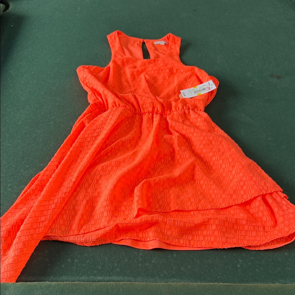 Gianni Bini Vibrant Orange Midi Dress. CAJA. # 1 B